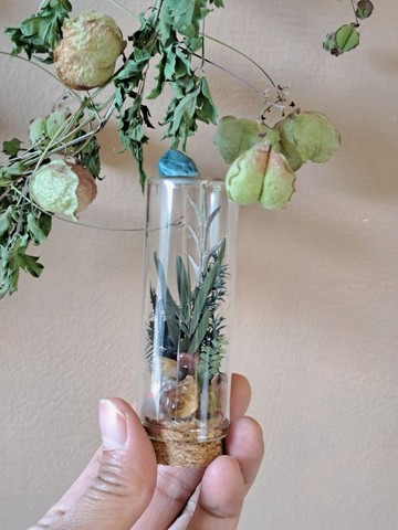 永生花水晶小型玻璃罩盅