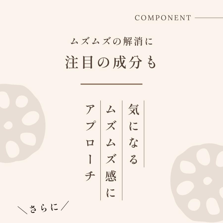 れんこんパウダー 風土日和 210g（70gx3袋） 国産 無農薬 粉末 離乳食 食物繊維 レンコン パウダー ヨーグルト 熊本県産 蓮根粉 料理