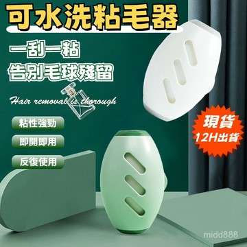💖低價現貨 當天出貨💖 可水洗粘毛器 黏毛神器 可水洗黏毛神器 黏毛器 滾筒黏毛器 可水洗永久黏毛器 橢圓形黏毛