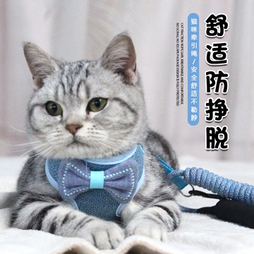 狗狗牽引繩 狗狗牽引繩貓咪溜貓繩小型犬背心式防掙脫小狗繩子狗錬子幼犬寵物『XY28664』