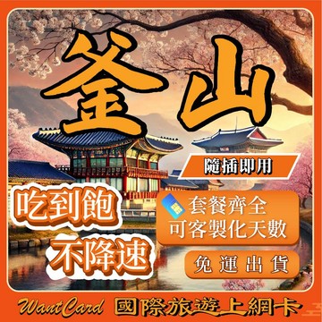 【無公平流量原則】韓國 網卡 不降速 即插即用 釜山 濟州島 首爾 網卡 韓國 韓國網路卡 韓國上網卡 韓國 sim卡