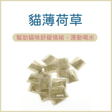 超低價 1克3塊 有機農場貓薄荷 貓草 木天蓼 有機貓薄荷 野生木天蓼 蟲癭果實