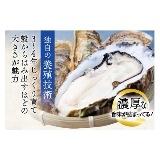 ふるさと納税 宮城県 気仙沼市  牡蠣 3〜4年モノ 生食 殻付き牡蠣 約3kg(約16-18個入) [住喜水産 宮城県 気仙沼市 20562726] 期間限定 冷蔵 新…