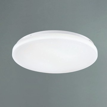 48W 遙控吸頂燈 B250-53-12-2453