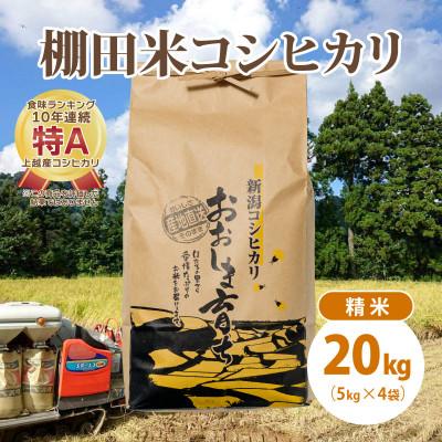 ふるさと納税 上越市 極少量米:数量限定 令和5年産 新潟県上越市大島区産 棚田米コシヒカリ 20kg(5kg×4)精米