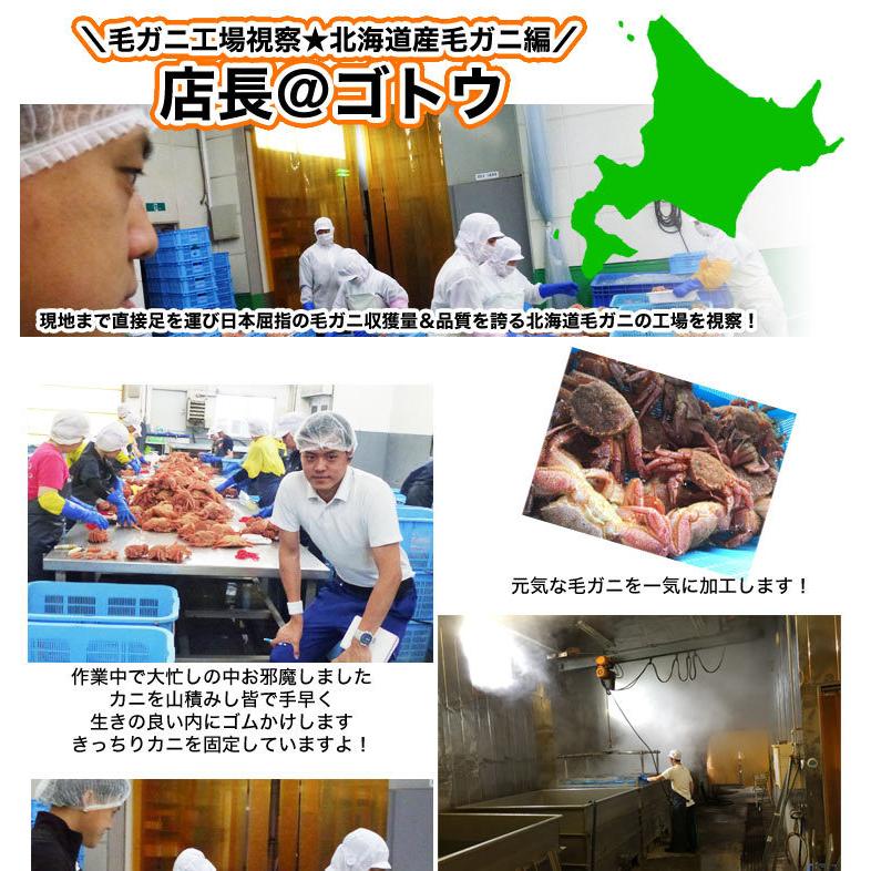 超 特大 ジャンボ 毛ガニ 800g前後× 1尾 北海道産 国産 カニ味噌 毛蟹 ボイル みそ かに カニ 蟹 毛がに kegani けがに kani crab 堅