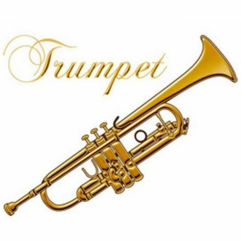 ステッカー スマホ トランペット 蒔絵 スマートホン デコレーション シール 通販 Lineポイント最大get Lineショッピング