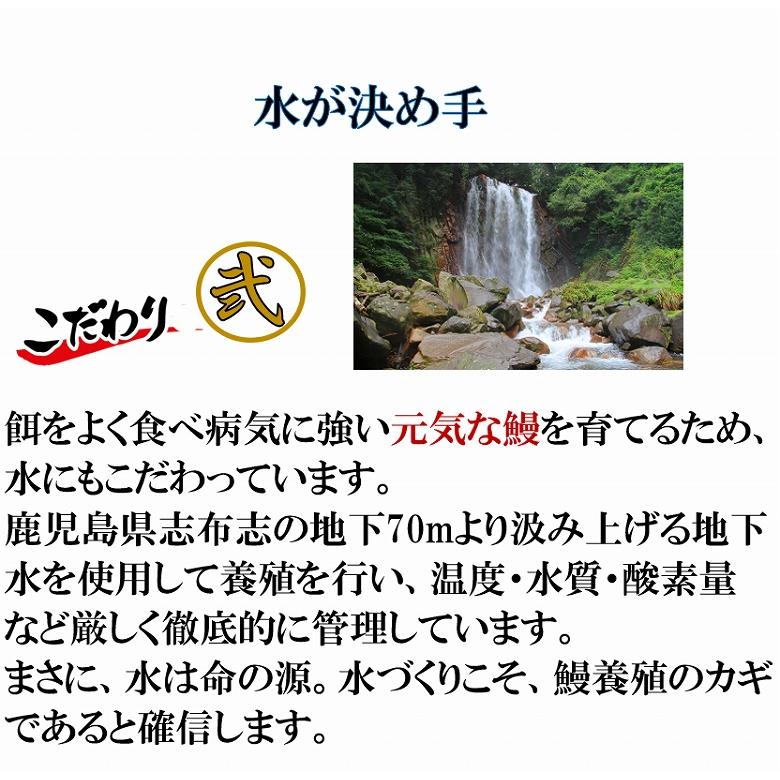 敬老の日 ウナギ うなぎ 蒲焼き 白焼きセット うなぎ蒲焼 鰻白焼き  国産 白焼き 各200ｇ １尾 合計2尾 特大 敬老の日 丑の日