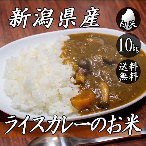 お米 10kg 新潟産 ライスカレーのお米 5kg×2袋 送料無料 令和5年産 米 白米