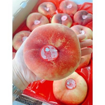 美國 加州 誼馨園 桃仙子 蟠桃｜美國蟠桃禮盒