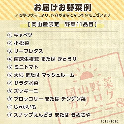 岡山県産限定 新鮮 産直野菜たっぷりセット (野菜11品目)