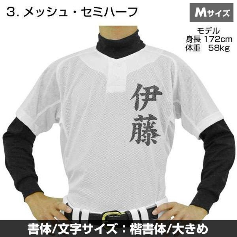 名前入り 選べる3タイプ 野球 ユニフォームシャツ ミズノ 昇華プリント