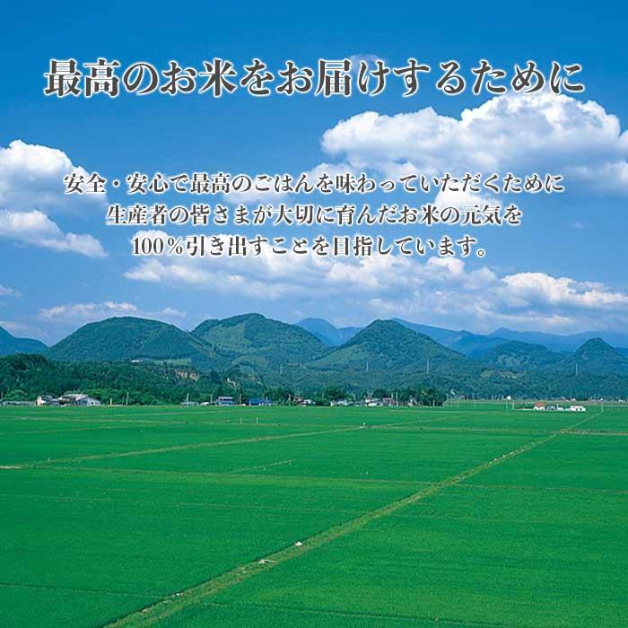 ひとめぼれ 10kg 5kg×2 令和5年産 宮城県産 米 お米 白米 おこめ 精米 単一原料米 ブランド米 10キロ 送料無料 国内産 国産