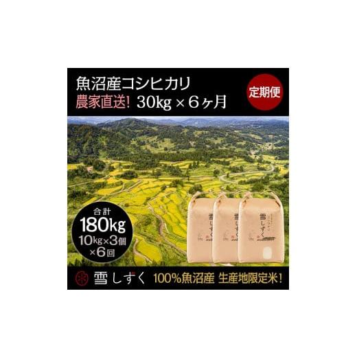 ふるさと納税 新潟県 十日町市 定期便！魚沼産コシヒカリ毎月30kg×6回