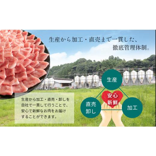 ふるさと納税 熊本県 和水町 焼肉・BBQセット 黒毛和牛A4／A5 カルビ 300g 豚バラ 300g 鶏モモ 300g 粗びきウインナー 200g(20g×10本) 豚肩ロース 300g 計140…