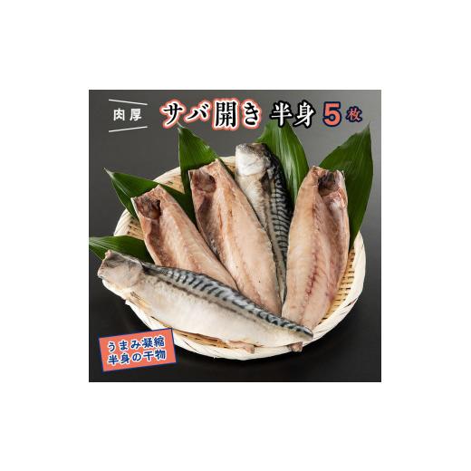 ふるさと納税 茨城県 大洗町 干物 サバ開き 半身 カジマ 特大 肉厚 さば 鯖 高級 焼き魚