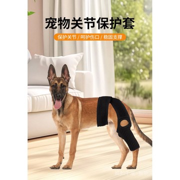 熱銷寵物狗護腿狗護膝韌帶撕裂受傷保護美容康複帶關節狗護具