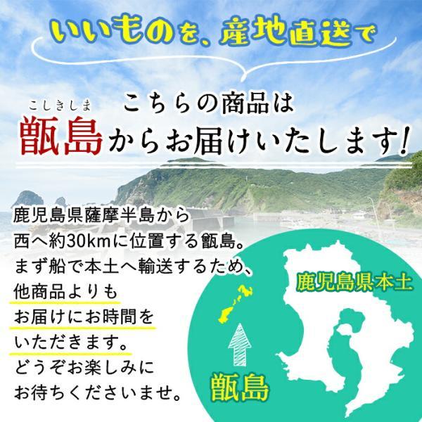 ギフト 甑島の干物詰め合わせA 国産 訳あり こしき島 鹿児島産 干物セット 塩干 塩干し 新鮮な干物 おつまみ ギフト キビナゴ アジ カマス 贈り物 お土産