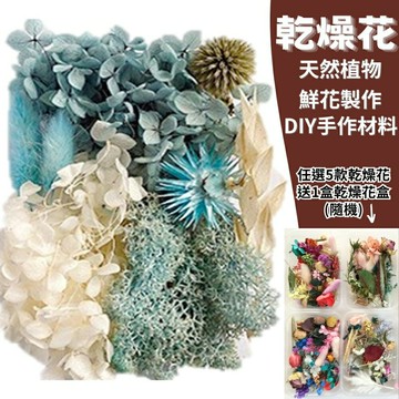 【A-ONE】永生花素材 柔藍一水 永生滿天星 大滿天星 手作素材 攝影道具 新娘捧花 乾燥花束 B07