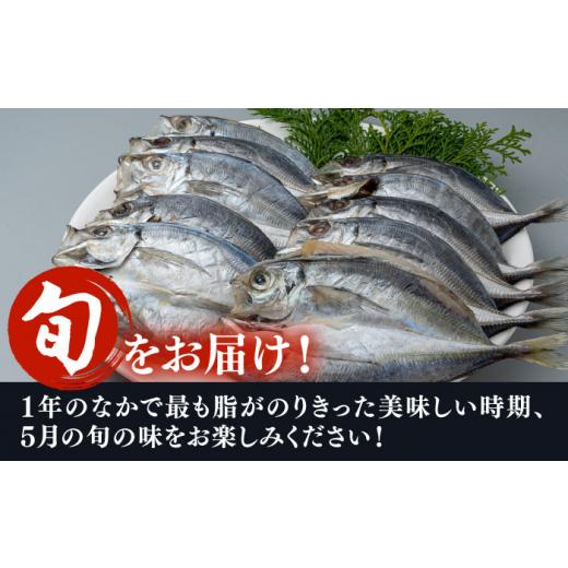 ふるさと納税 長崎県 対馬市 対馬 五月 真あじ 一汐干し 10枚 《 対馬市 》新鮮 アジ 干物 海産物 朝食 冷凍 [WAI044]