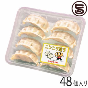 ニンニク餃子 8個入り×6パック 48個入り 宇都宮餃子館 栃木県 宇都宮 お取り寄せ 惣菜 冷凍