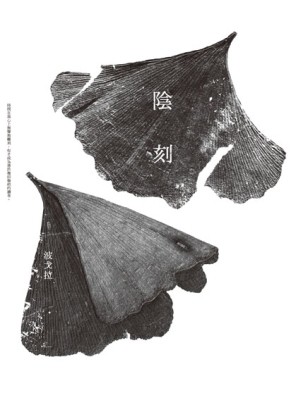 陰刻[二手書_良好]