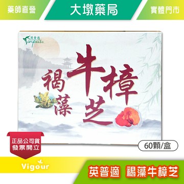 英普適 褐藻牛樟芝 膠囊 60顆/盒 台灣公司貨》大墩藥局