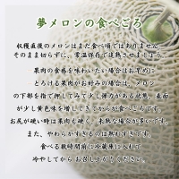 1.6kg以上！大玉アールスメロン　夢メロン2玉入り