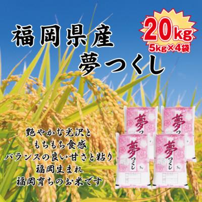 ふるさと納税 中間市 令和4年産　福岡県産夢つくし20kg(5kg×4)(中間市)