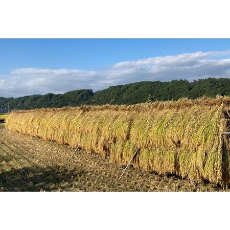 ふるさと納税  梨北米 コシヒカリ 5kg×3回 総計15kg   梨北農業協同組合   山梨県 韮崎市 [20741440] こしひかり お米 .. 山梨県韮崎市