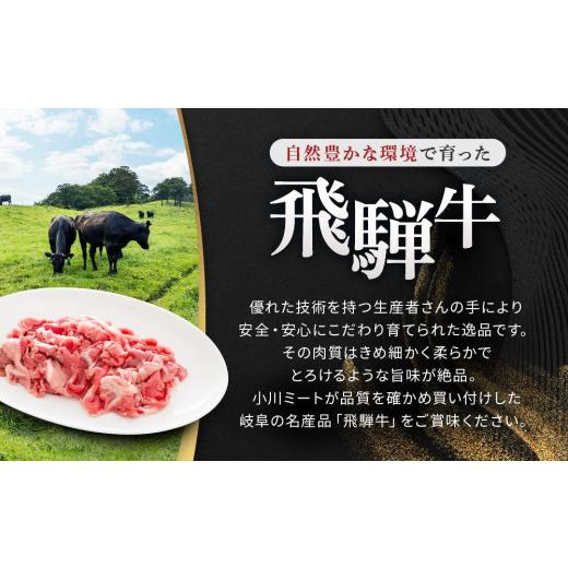 ふるさと納税 岐阜県 大野町 飛騨牛Ａ5 小間切れ 500g｜国産 肉 牛肉 和牛 黒毛和牛 グルメ A5等級 おすすめ AD126 【飛騨牛 和牛ブランド 飛騨牛 黒毛和牛 飛…