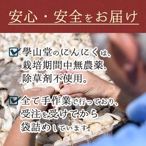 ふるさと納税 ＜先行予約受付中！2024年5月より準備ができ次第発送＞學山堂のにんにく(計1.2kg) 鹿児島 国産 にんにく ニンニク 大.. 鹿児島県肝付町