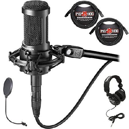 Briskdrop Audio Technica AT2050 Multi Pattern Large Diaphragm Condenser Microphone Bundle with Tascam TH02 Closed Back Headphones, Pig Ho 並行輸入品