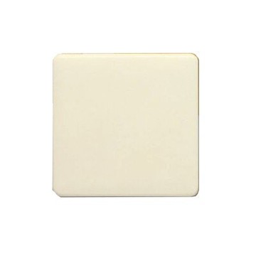 歐風蓋板 二連式 無孔 盲蓋