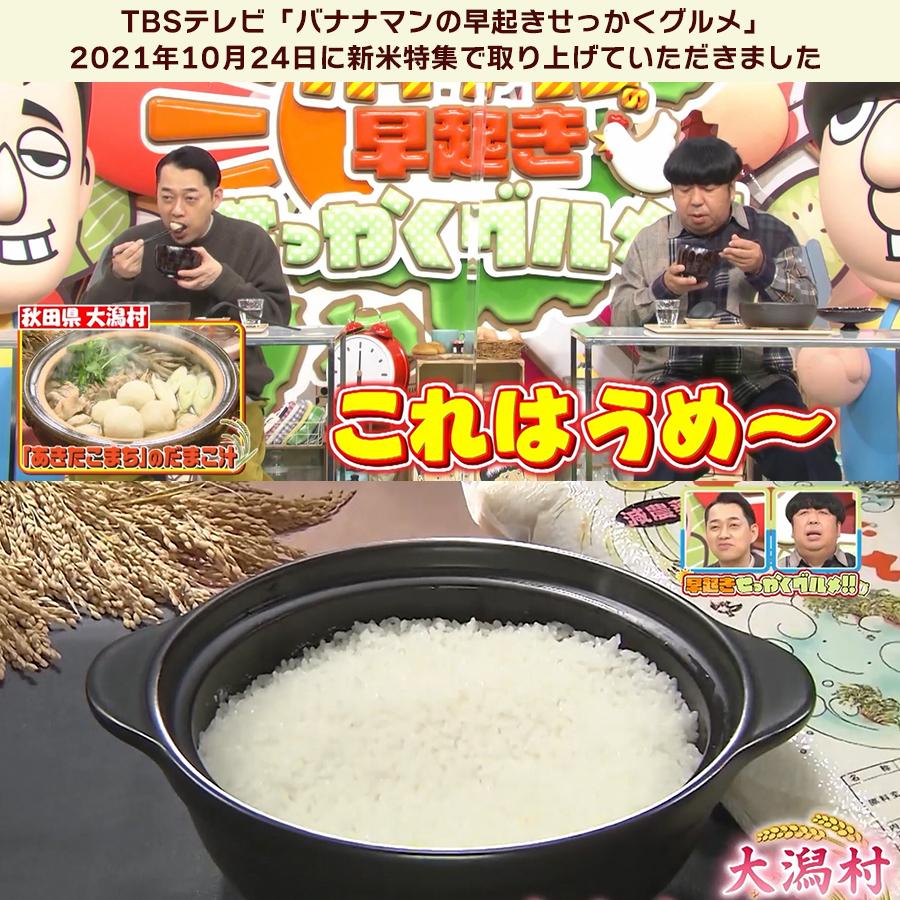 玄米 令和5年産新米 秋田県産 あきたこまち 特別栽培米 20kg 農薬８割減 化学肥料９割減 慣行栽培比 農家直送