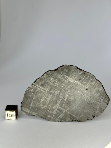 Muonionalusta隕石 瑞典。69,77克切片。