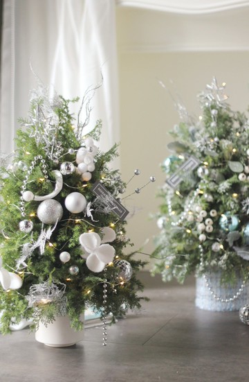 奶霜白與斜紋軟呢藍 【新鮮聖誕樹 】諾貝松與雪松聖誕樹