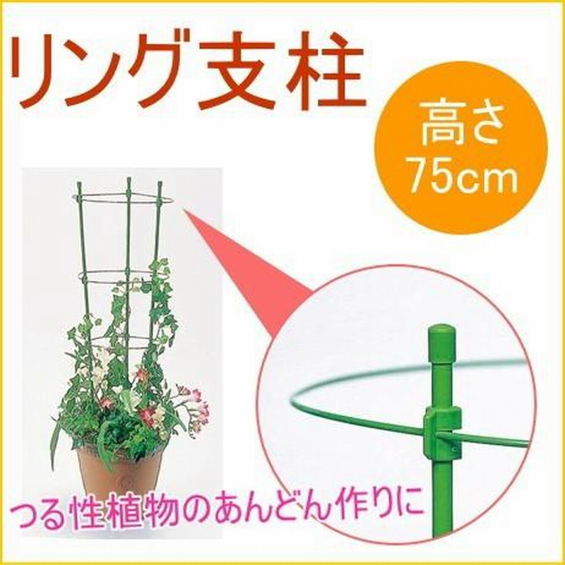 お試し価格!】 つるものネットL 渡辺泰 渡辺泰 パワフル支柱 6号 60cm