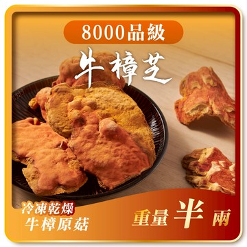 寶芝靈｜牛樟椴木子實體（冷凍乾燥牛樟菇8000品級）半兩