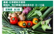 『定期便』土佐の太陽をいっぱいに浴びた旬の野菜セット小（3回配送）