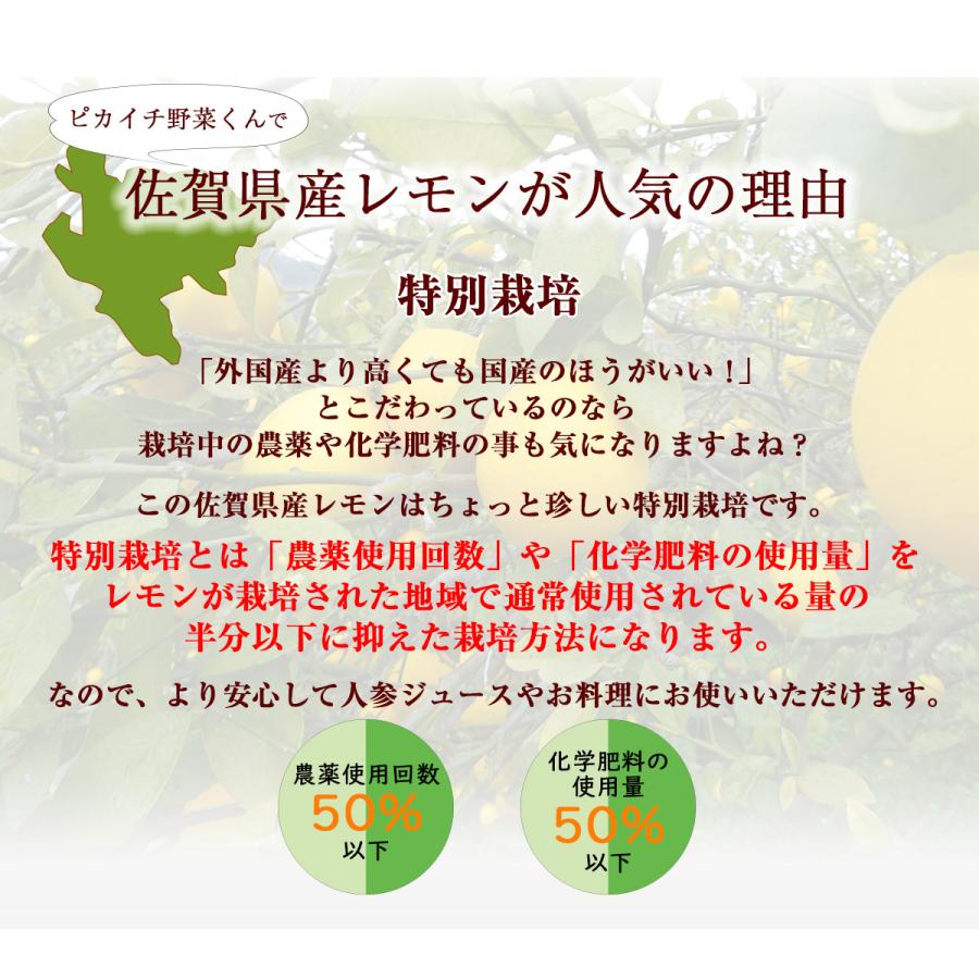 レモン 国産レモン 500g 佐賀県産 訳あり 特別栽培農産物 防腐剤防かび剤不使用 ゲルソン療法にも最適