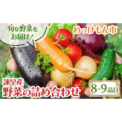 ふるさと納税 長崎県 諫早市 諫早産野菜の詰め合わせ(8〜9品目程度)