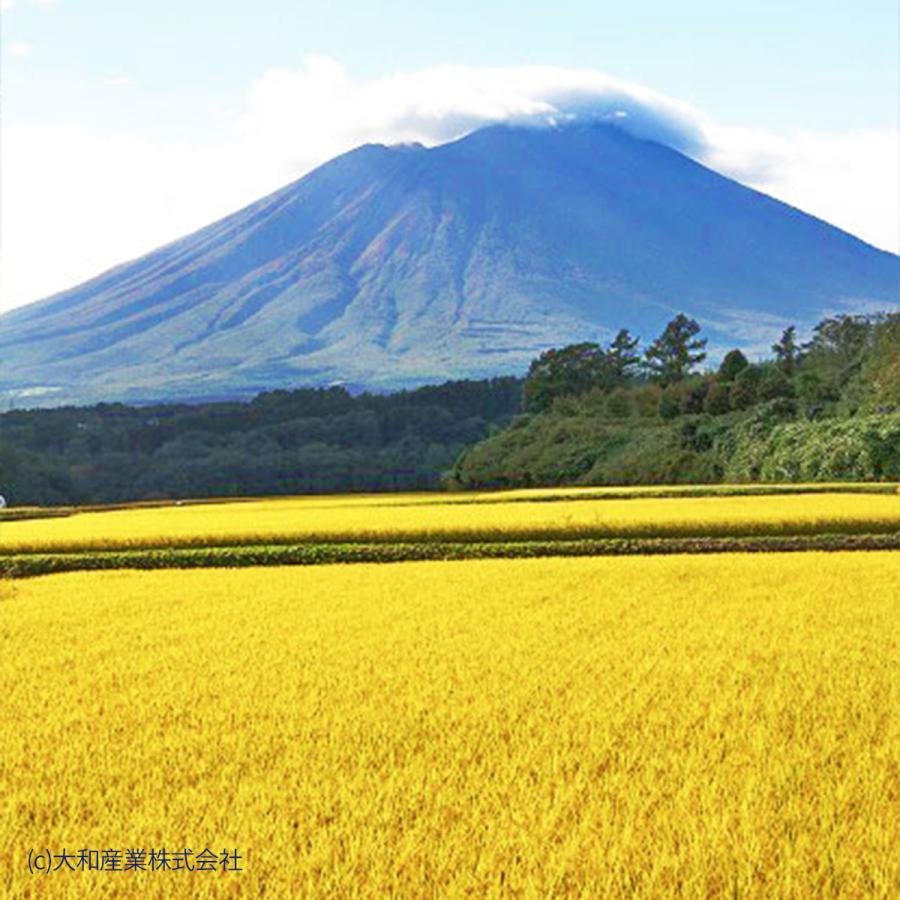 ヤマトライス 無洗米 岩手県産 ひとめぼれ 農薬節減米 5kg 令和4年産