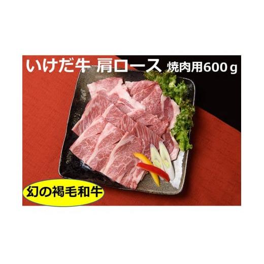 ふるさと納税 北海道 池田町 北海道　いけだ牛 肩ロース 焼肉用600g