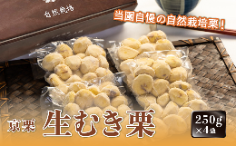 京栗生むき栗 1kg（250g×4袋）京都 綾部 丹波栗 自然栽培 京都府産 農家直送 国産 無農薬 果物 フルーツ くり 栗