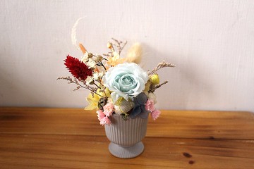 典雅 永生花 乾燥花 陶瓷 盆花 母親節禮物 情人節禮物 閨蜜花禮