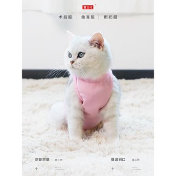 絕育服母貓手術后防舔衣可調節式貓咪透氣小貓斷奶服結育英短衣服