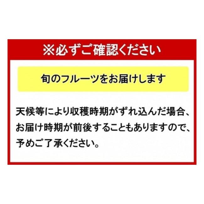 ふるさと納税 沖縄県 豊見城市 沖縄フルーツ定期便（6〜11月コース）