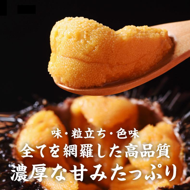 生ウニ チリ産 うに 刺身用 300g ミョウバン不使用 無添加 冷凍 生うに ウニ