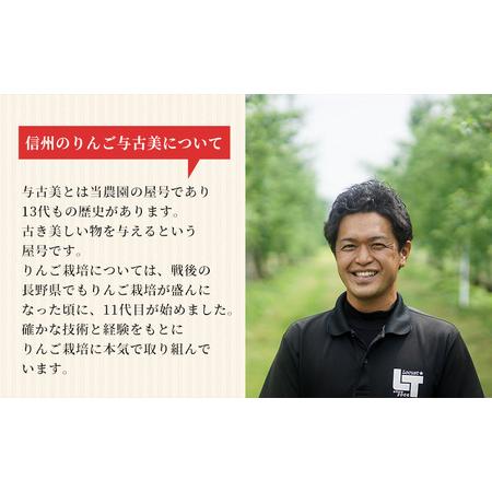 ふるさと納税 りんご 長野 あいかの香り 約 5kg 家庭用 フルーツ 果物 デザート おやつ リンゴ 林檎 あいか 産地直送 長野県 長野県産 信州産 長.. 長野県箕輪町